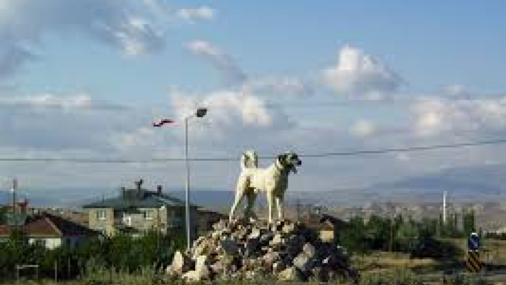 Kangal Medyum Hizmetleri | Sivas Kangal Gerçek Medyum ve Kangal Güvenilir Medyum İnal Hoca